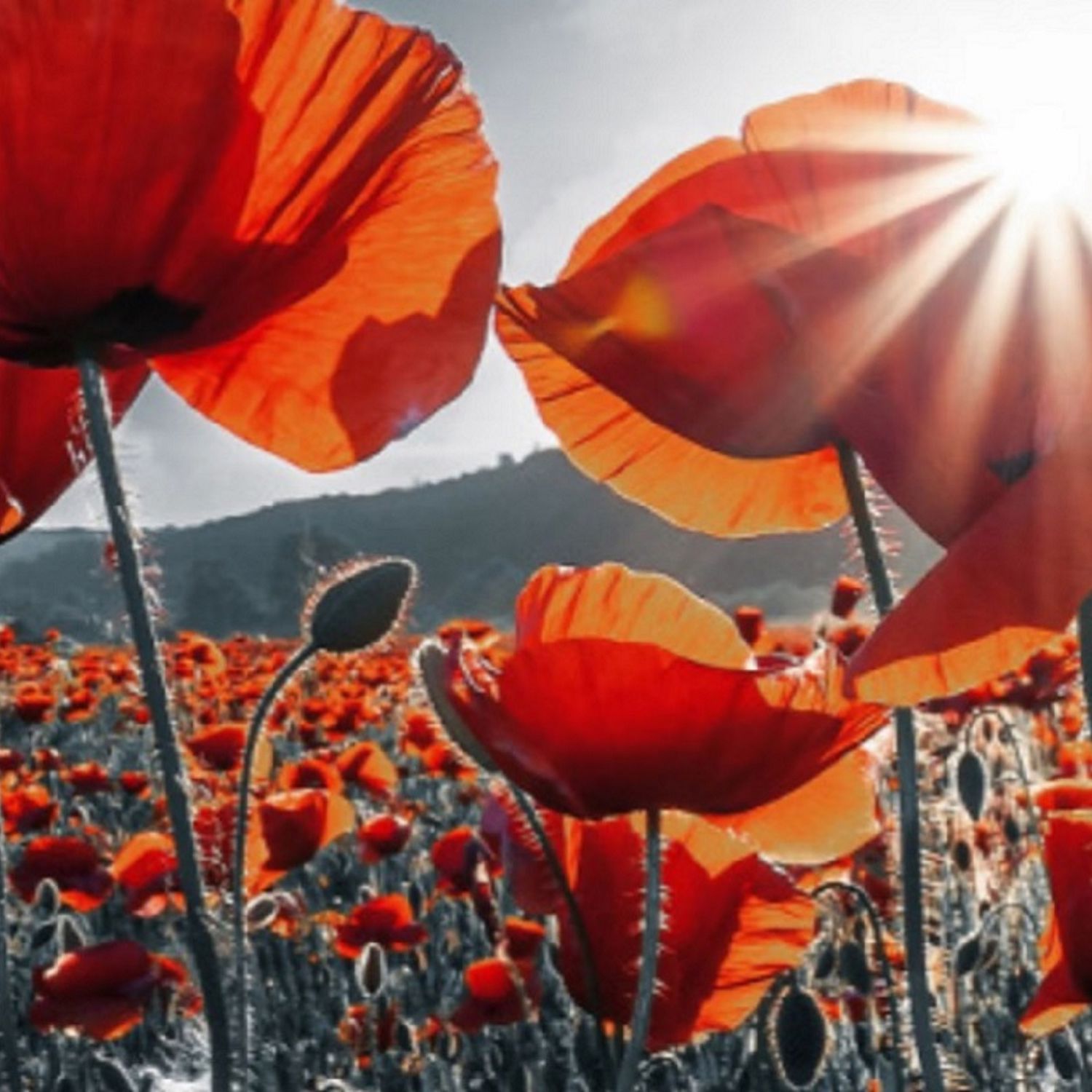 Unvarnished Remembrance Radio with Eric von Essex Artwork